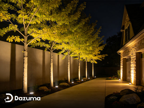 Master Outdoor Spotlights: A Professional Landscape Lighting Guide