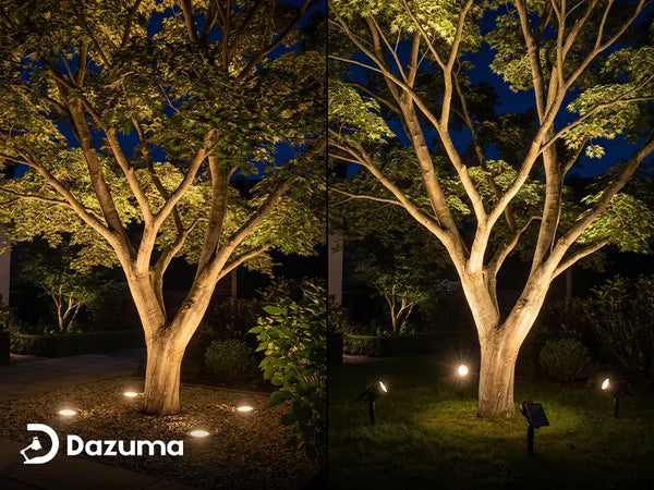 Well Lights vs Spotlights for Trees: Which Is Better?