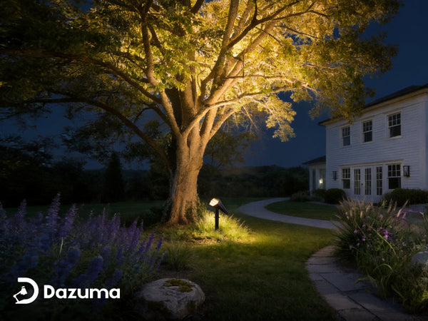 How to Use Uplighting for Trees and Landscaping