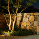 Architectural LED landscape spotlight illuminating ornamental tree in contemporary landscape design