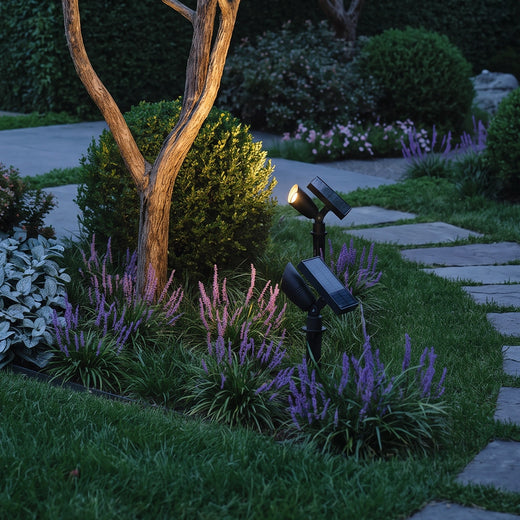 Solar spotlight for trees illuminating a garden tree trunk beside a stone walkway and flowering border.