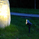 Dramatic spotlight creating blue accent lighting on concrete pillar and grass in modern landscape