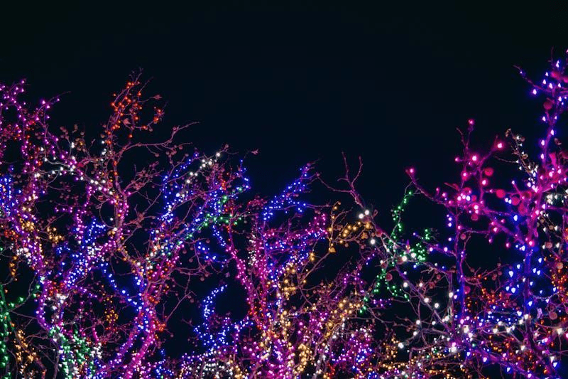 15 Creative Tree Lighting Ideas for a Stunning Outdoor Space - Dazuma