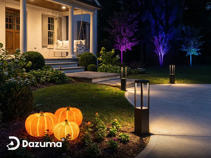 How to Do a Halloween Light Show in Your Garden?