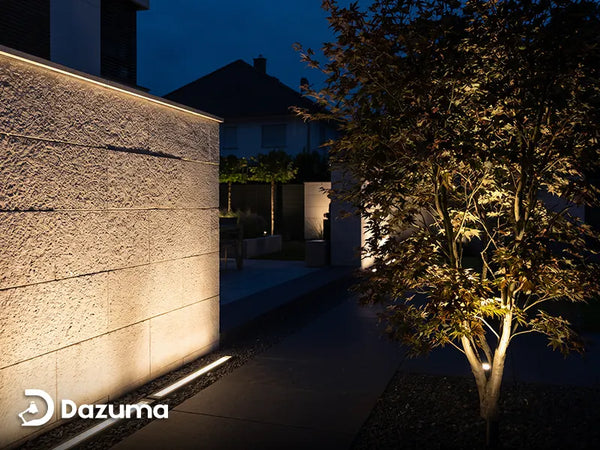 How to Light a Dark Backyard Corner