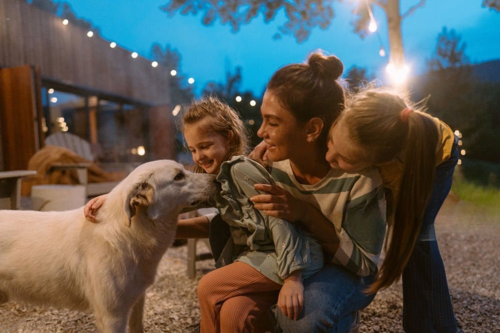 Are Outdoor Lights Safe for Kids and Pets? - Dazuma