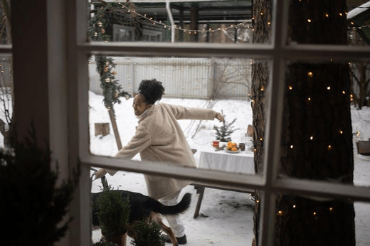 Create a Magical Outdoor Space with Landscape and Christmas Lighting - Dazuma