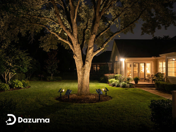 How to Light Up Trees in Your Backyard Like a Pro