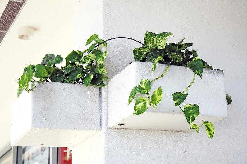 LED Planters That Light Up Your Garden and Elevate Outdoor Living - Dazuma