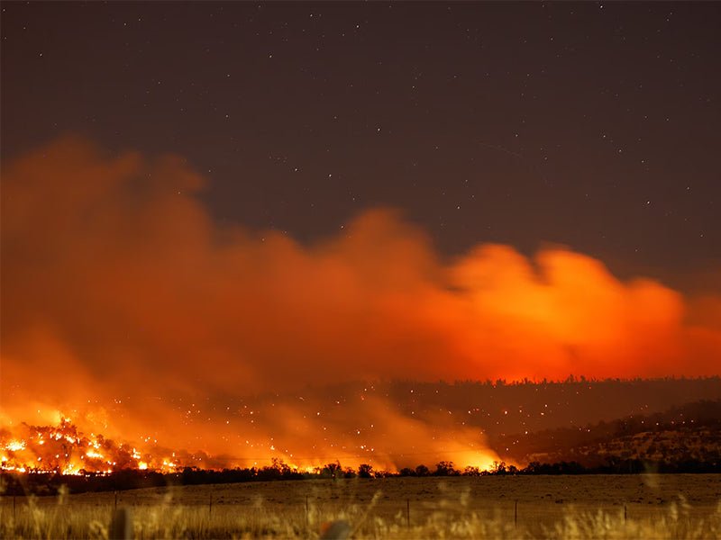 Lighting Up Hope for California: Stand with Wildfire Victims - Dazuma