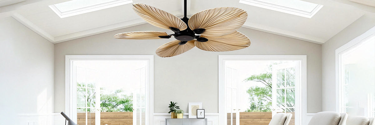 Ceiling Fans