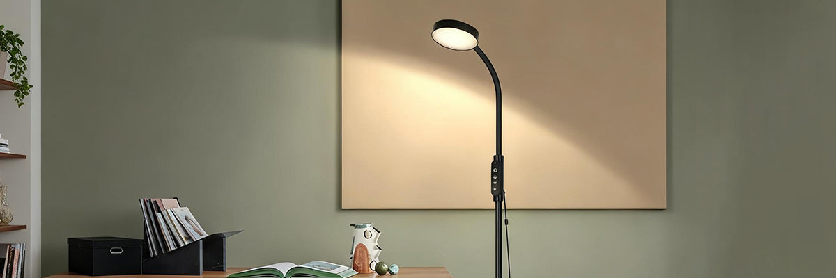 Floor Reading Lamps