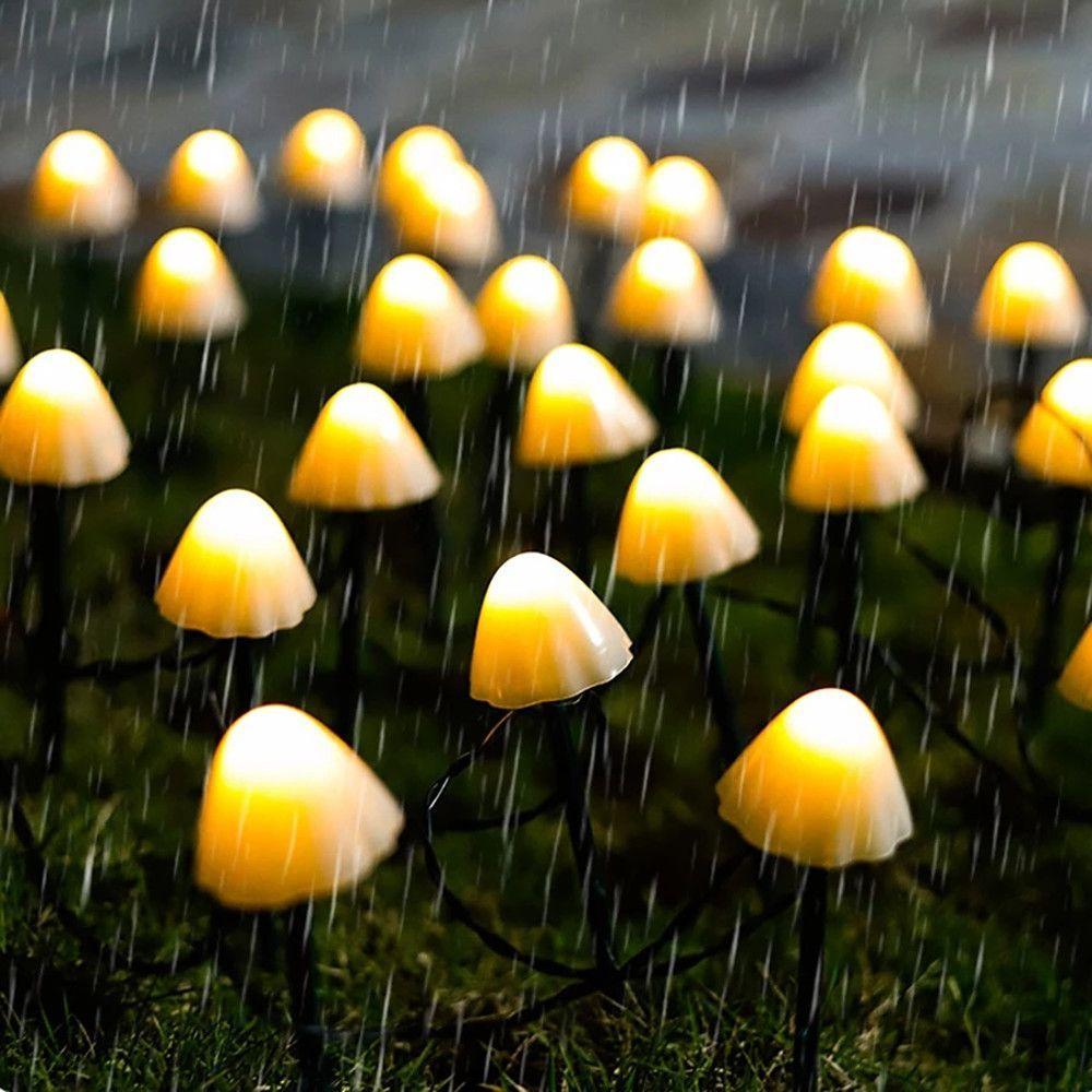 Outdoor String Lights