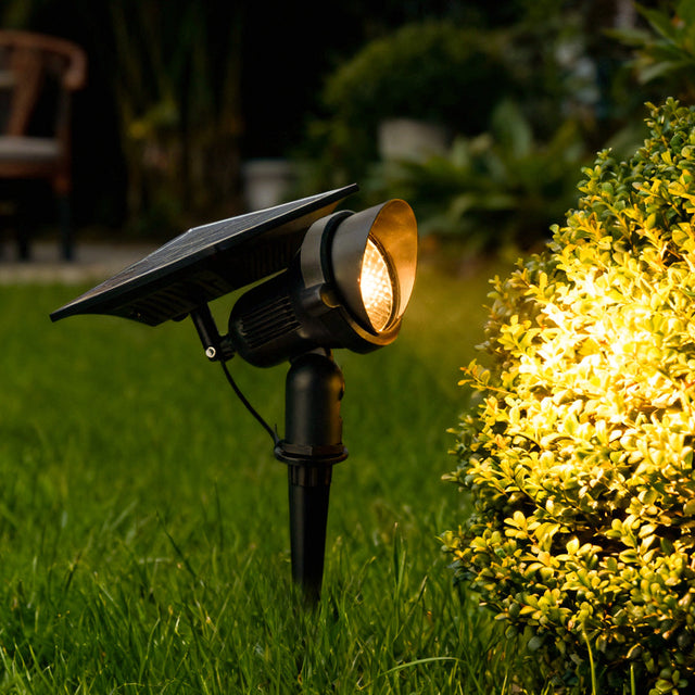 Solar Spotlight