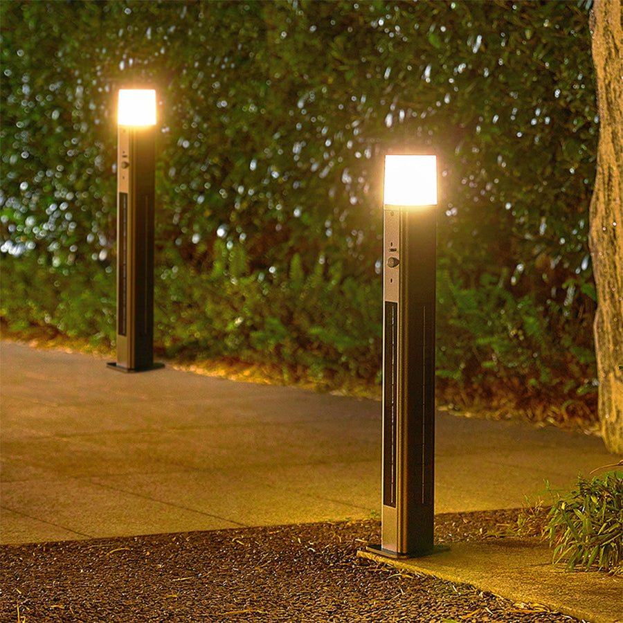 Multiple solar pathway lights providing evening illumination in landscaped yard setting