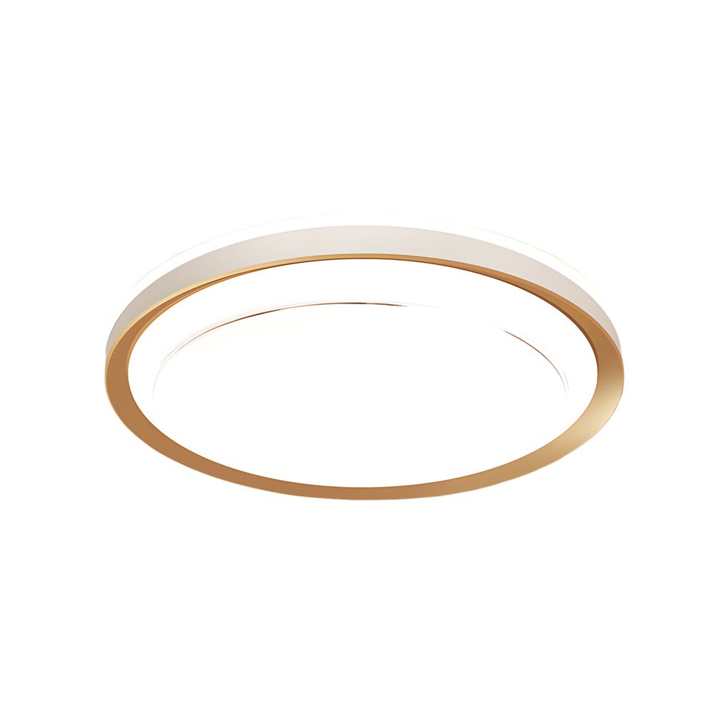 1 - Light Rectangular LED Flush Mount Ceiling Light