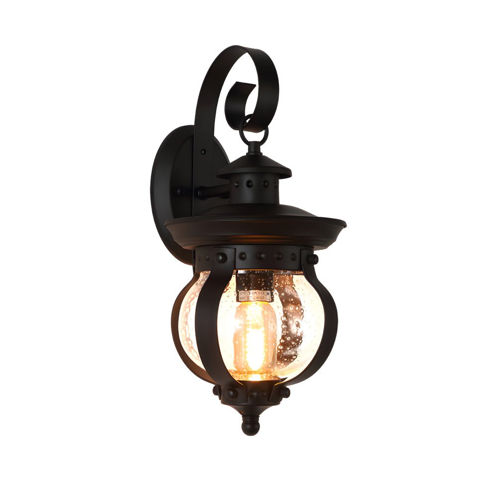1 - Light Seeded Glass Globe LED Outdoor Wall Lantern with Curved Arm