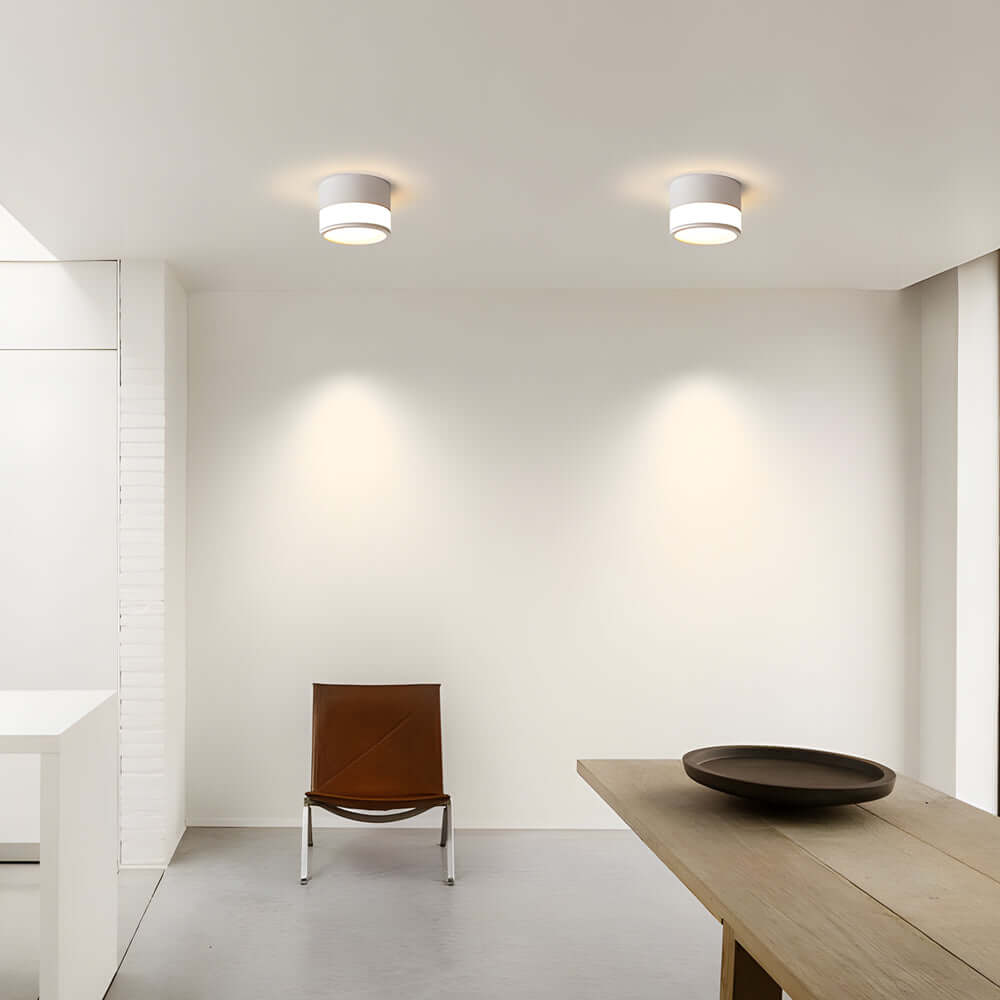 Flush Mount Ceiling LED Lights Modern Minimalist Round Downlight