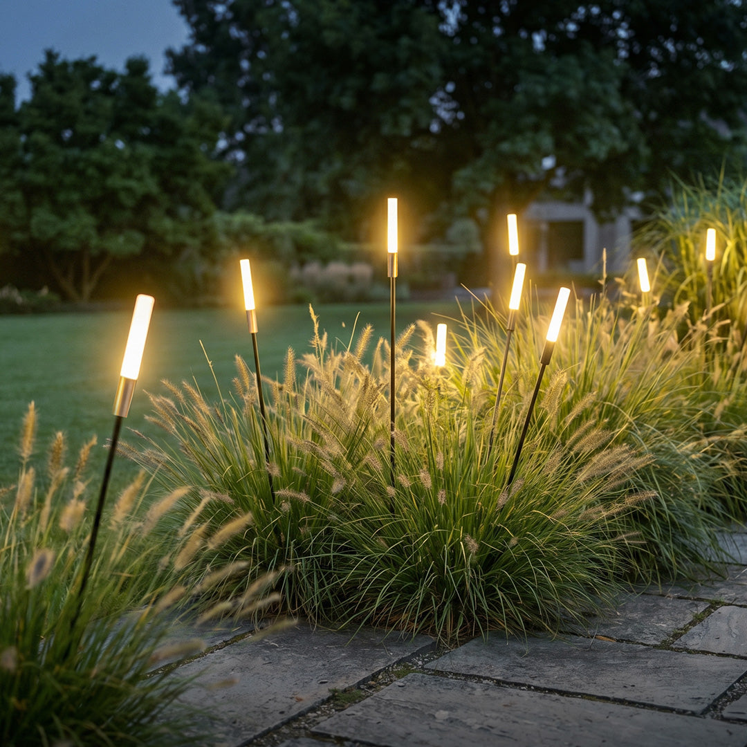 Novelty Lights