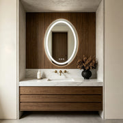 Bathroom Lighted Vanity Mirrors LED Oval Multifunctional Light
