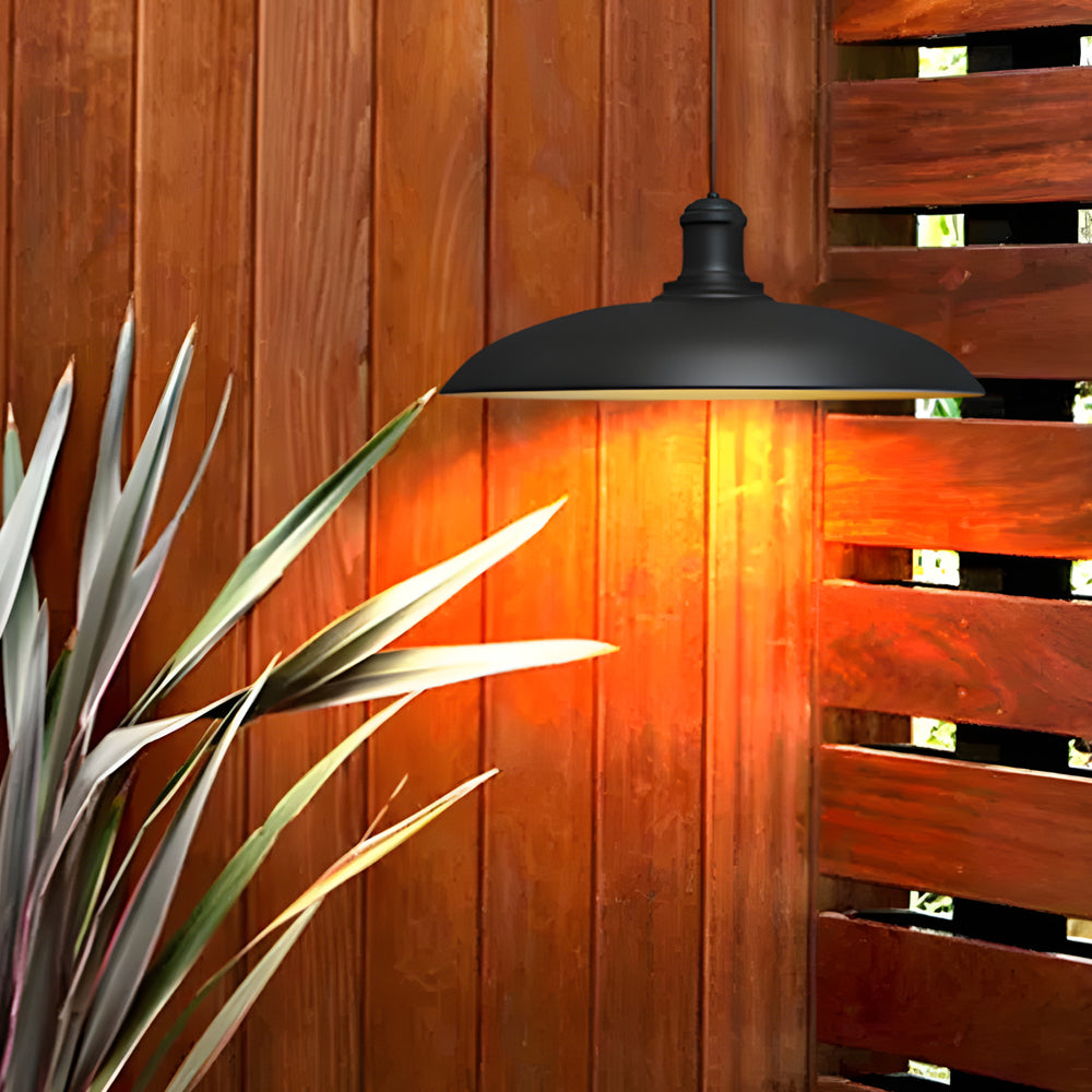 Dia 10'' Round Carbonized Steel 1-Light LED Outdoor Pendant Lights - Dazuma