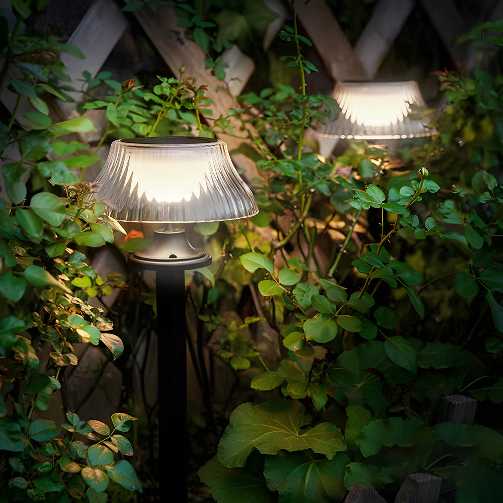 Illuminated solar light nestled among lush green foliage creating gentle ambient garden lighting