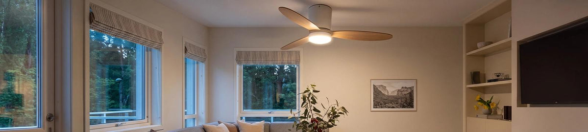 Ceiling Fans