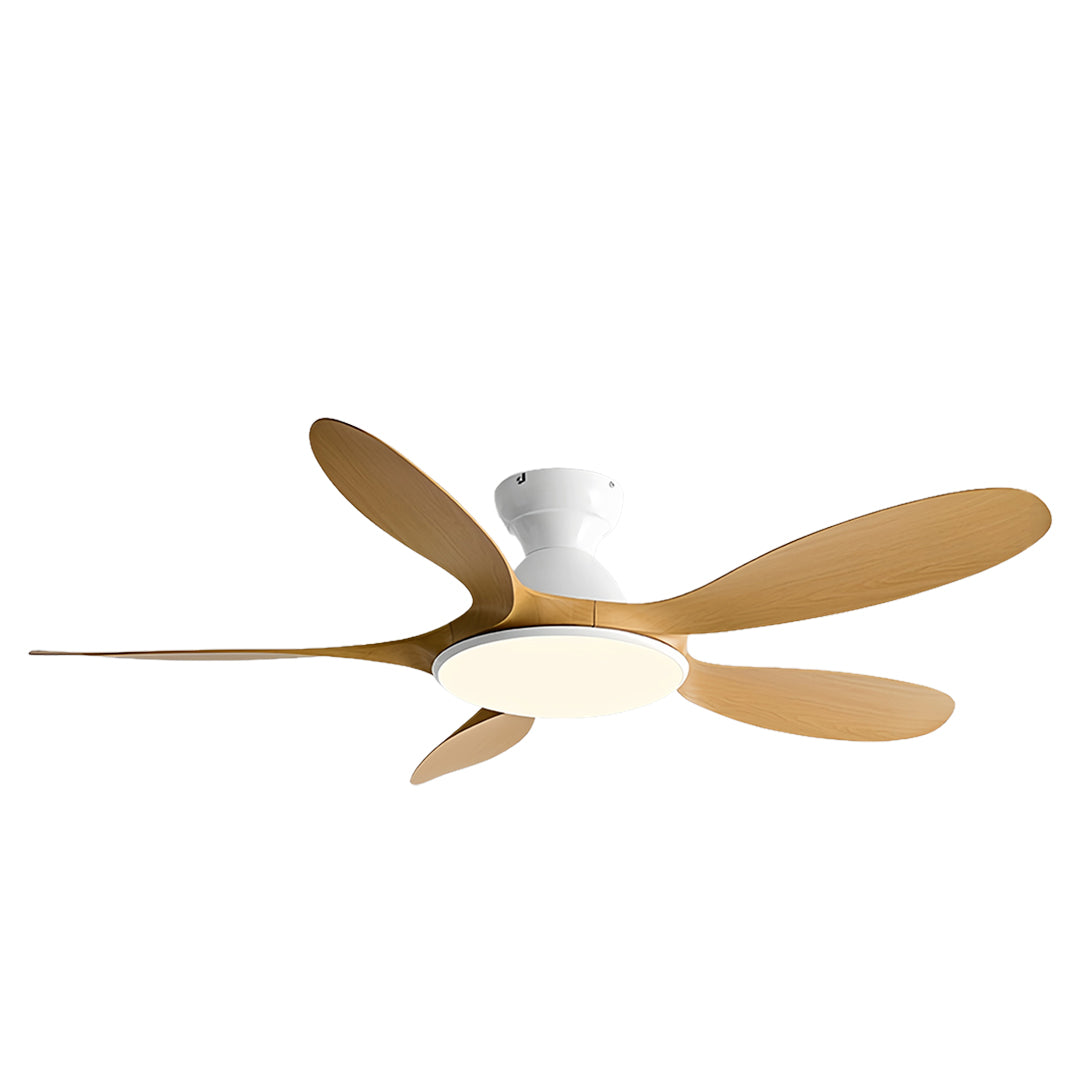 Bottom perspective of 5 blade ceiling fan with light showing round LED diffuser and motor housing