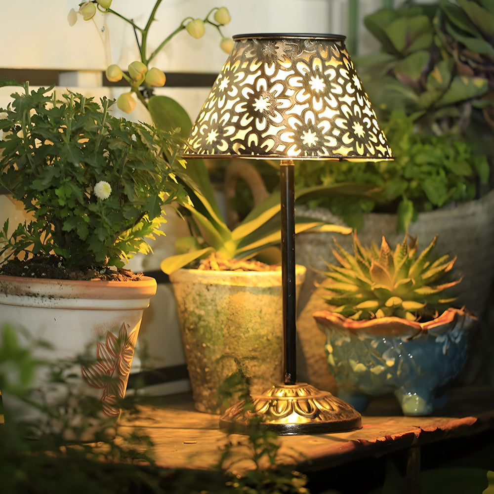 Solar-powered decorative lamp illuminating succulent garden display with warm ambient lighting effects