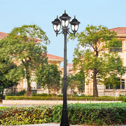 Ornate street lighting fixture in residential area with manicured landscaping and buildings