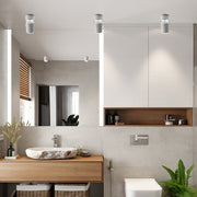 Adjustable Aluminum Round COB Modern Ceiling Mounted Spotlight Downlight - Dazuma