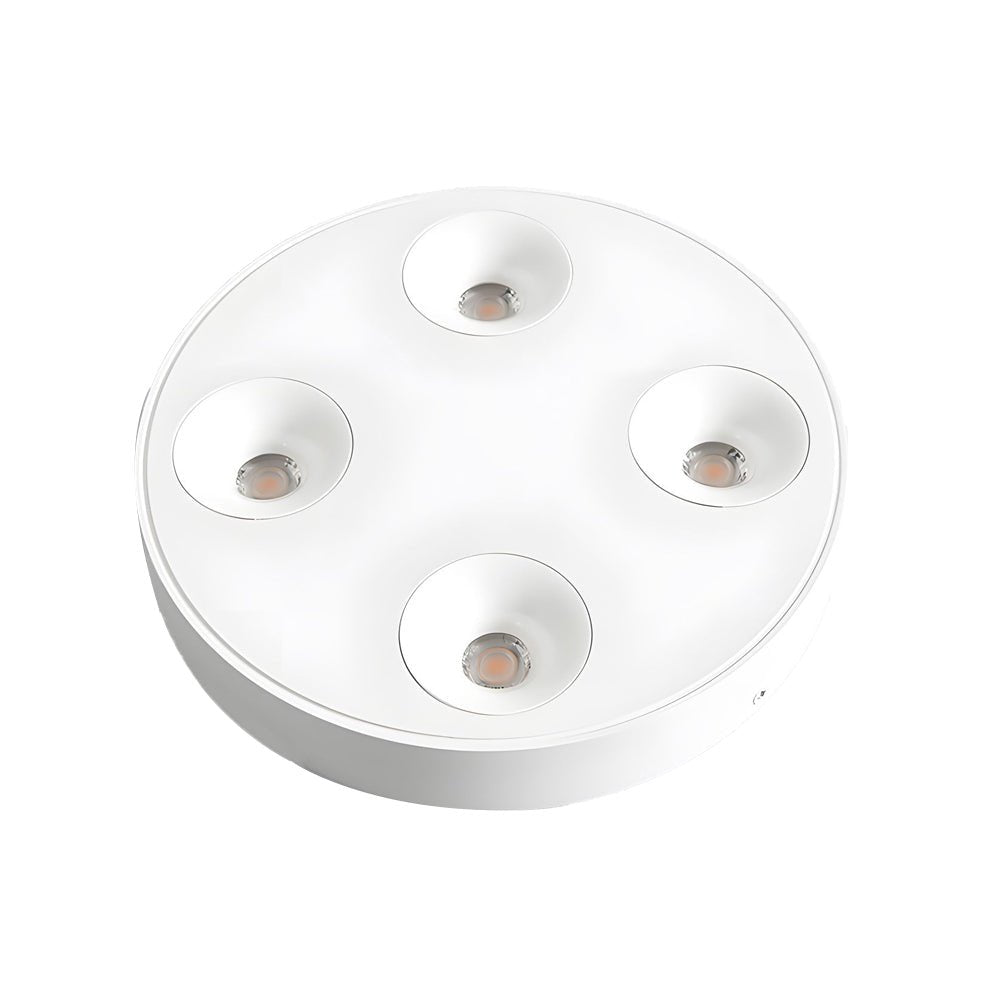 9.1 - Inch Peg 4 - Light LED Flush Mount Ceiling Light for Bathroom