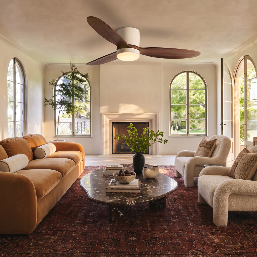 Ceiling Fans