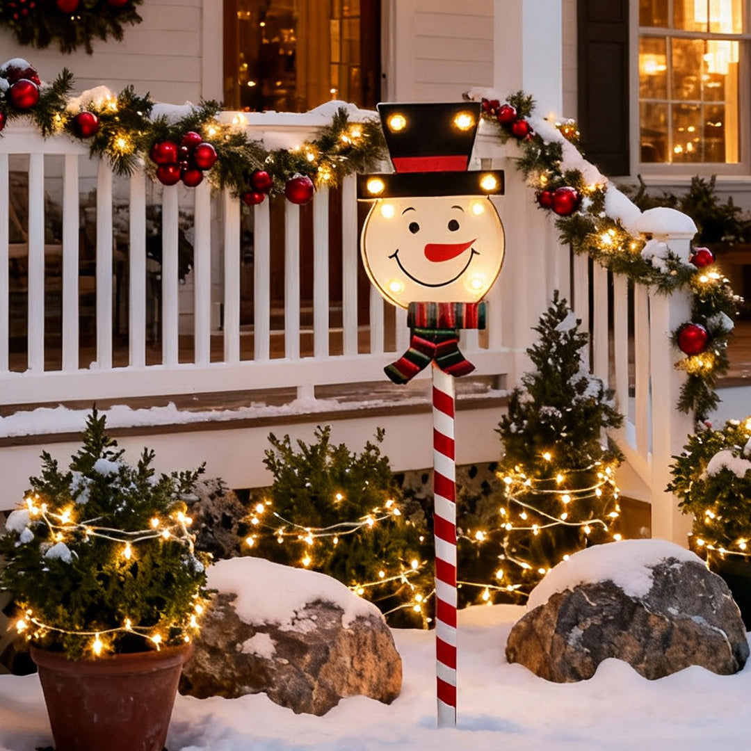 Ground Stakes for Christmas Lights Iron Solar Two-Pack Lights