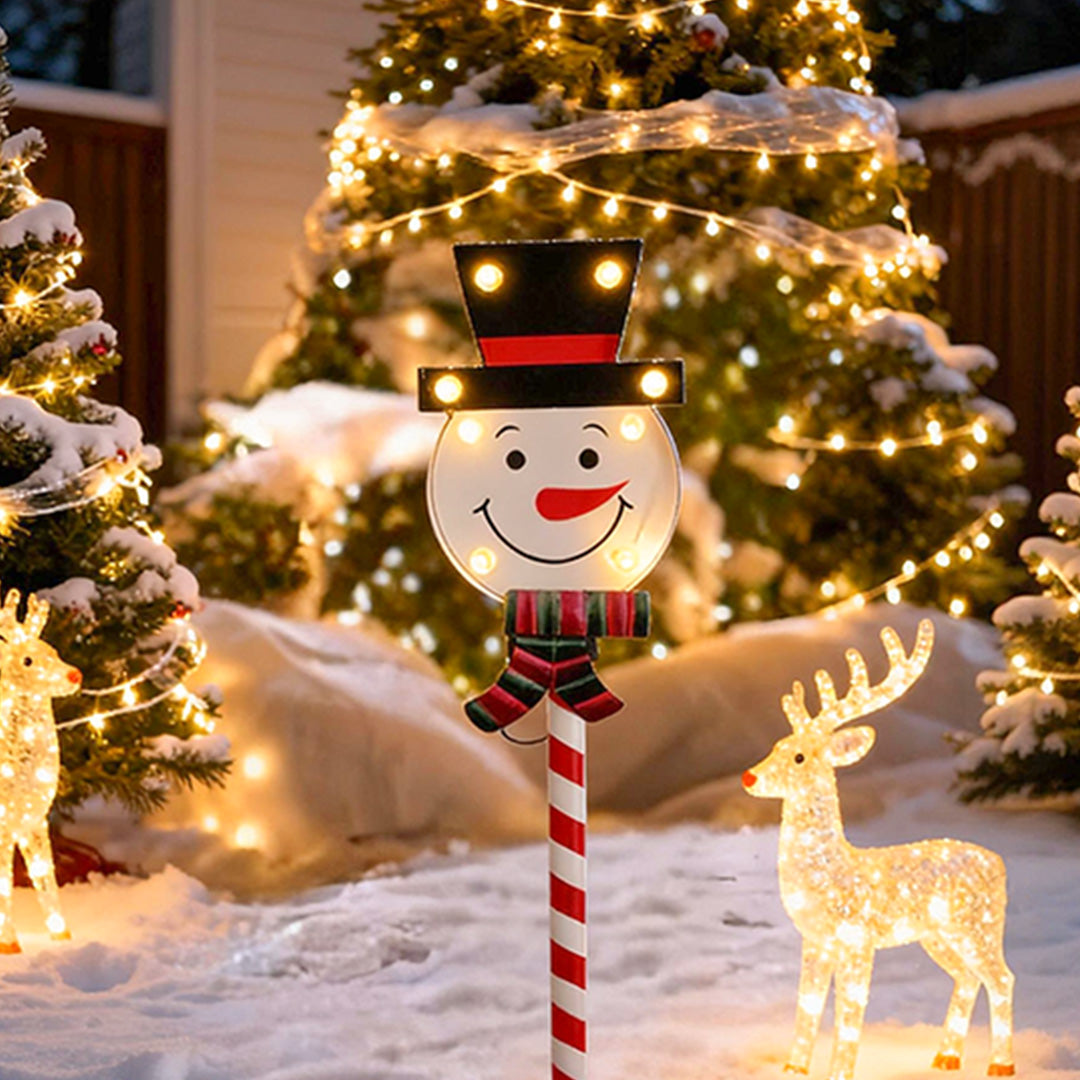 Ground Stakes for Christmas Lights Iron Solar Two-Pack Lights