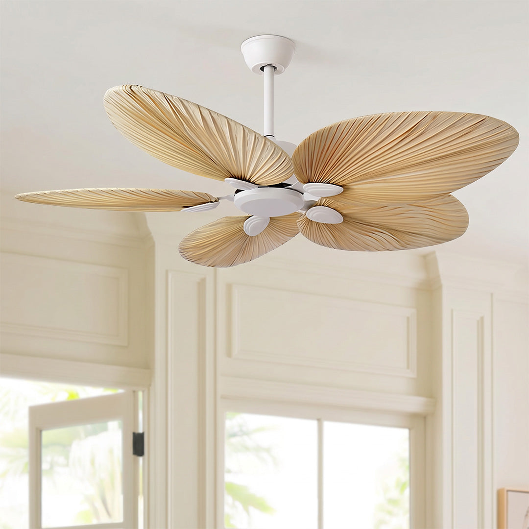 Ceiling Fans