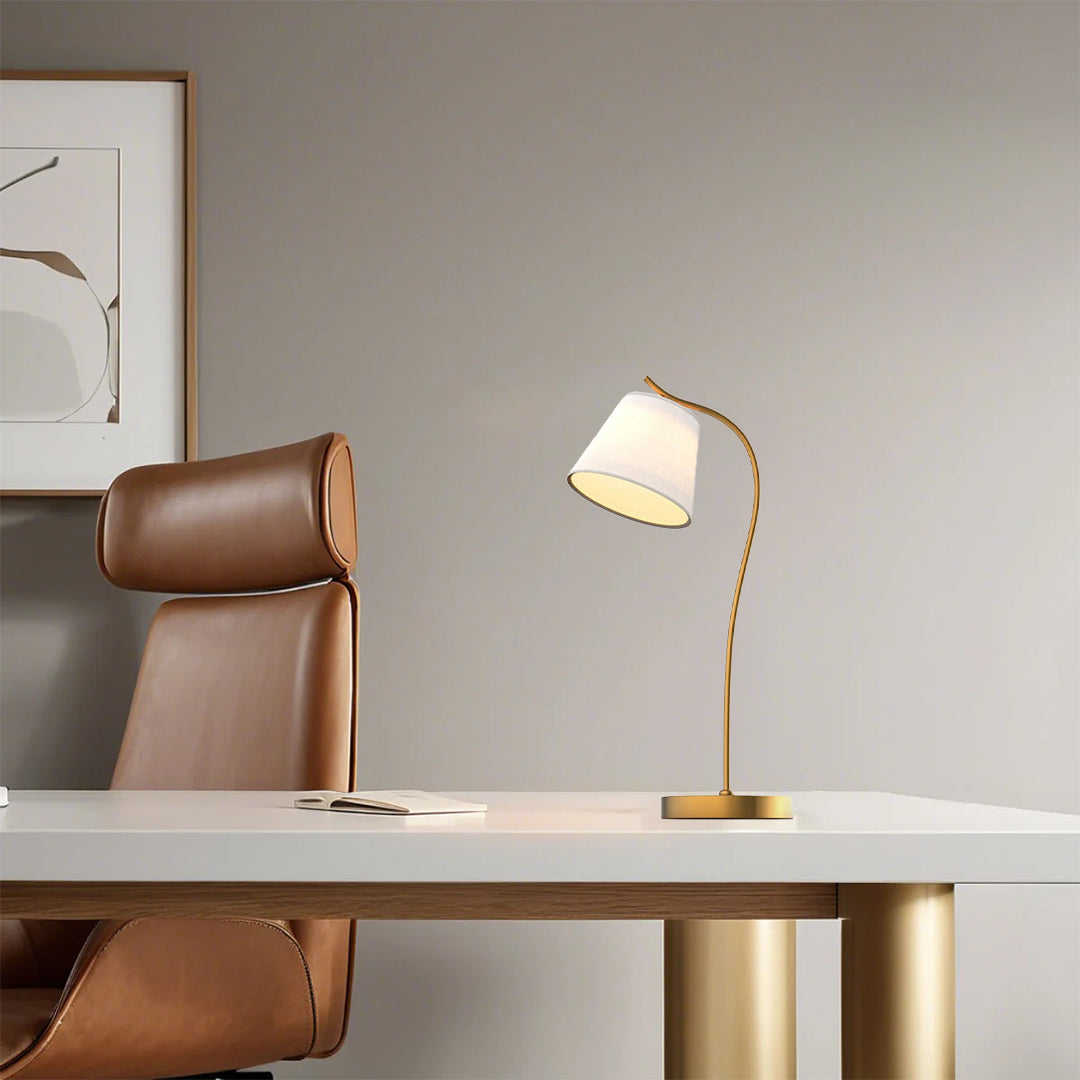 Metal Gooseneck Desk Lamp with Cone Fabric Shade for Home Office