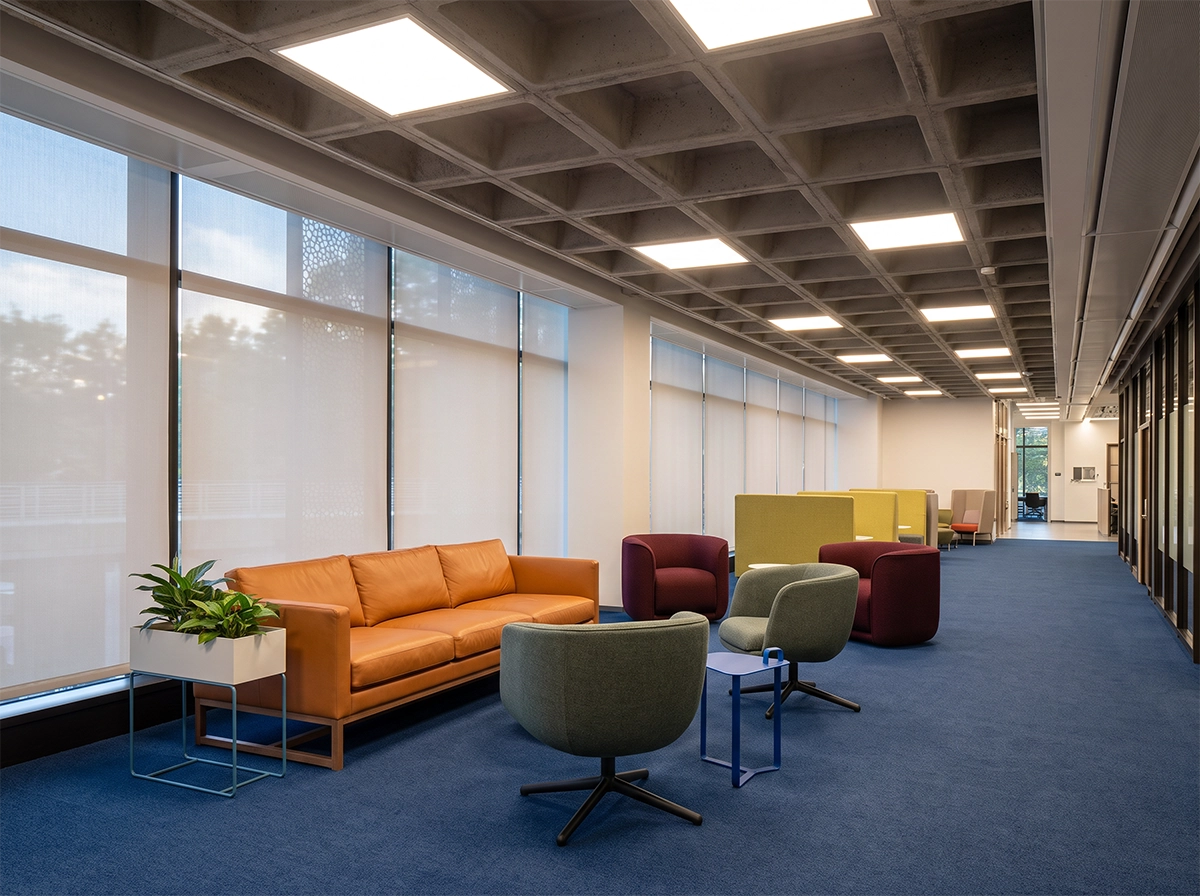 Custom Office Linear Lighting Systems