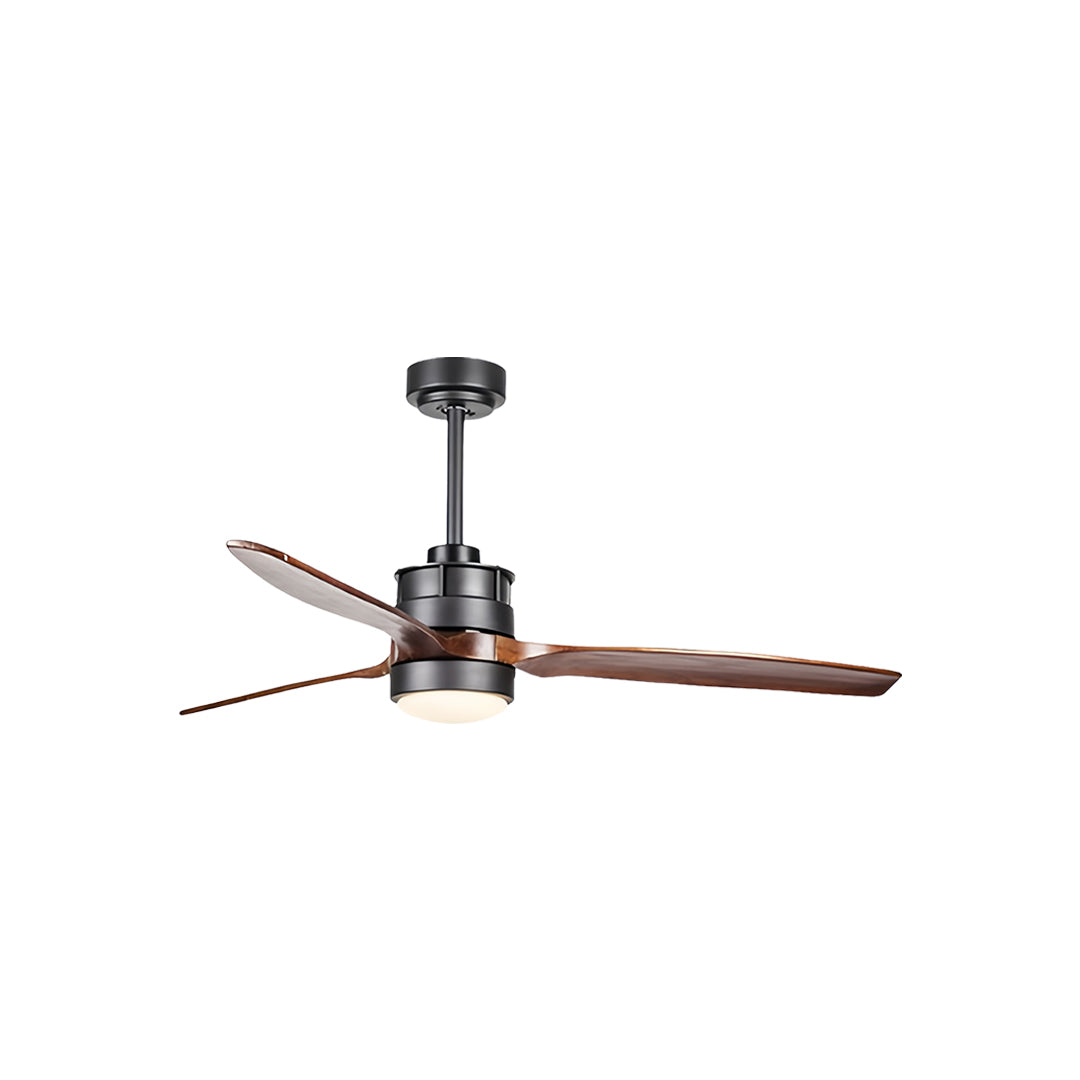 Contemporary Ceiling Fan with Light LED Remote Control Ceiling Fans