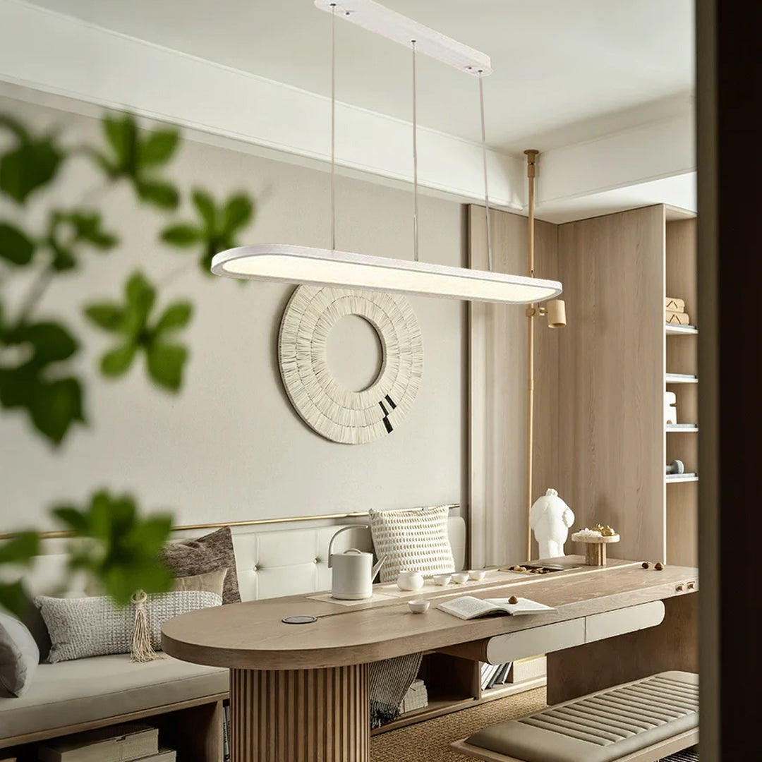 Black/White/Coffee Oval Shaped LED Modern Ceiling Lights Pendant Lights