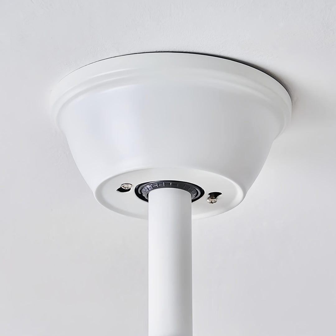 5 Blade Ceiling Fan with Light Abs Blades Metal Body Fan Light