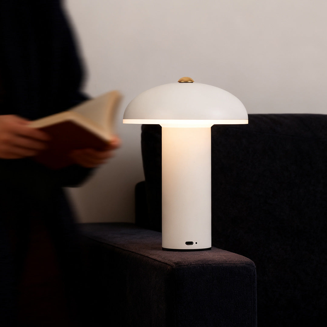 Dimmable LED Table Lamp Stylish Iron and Acrylic Ambience Light