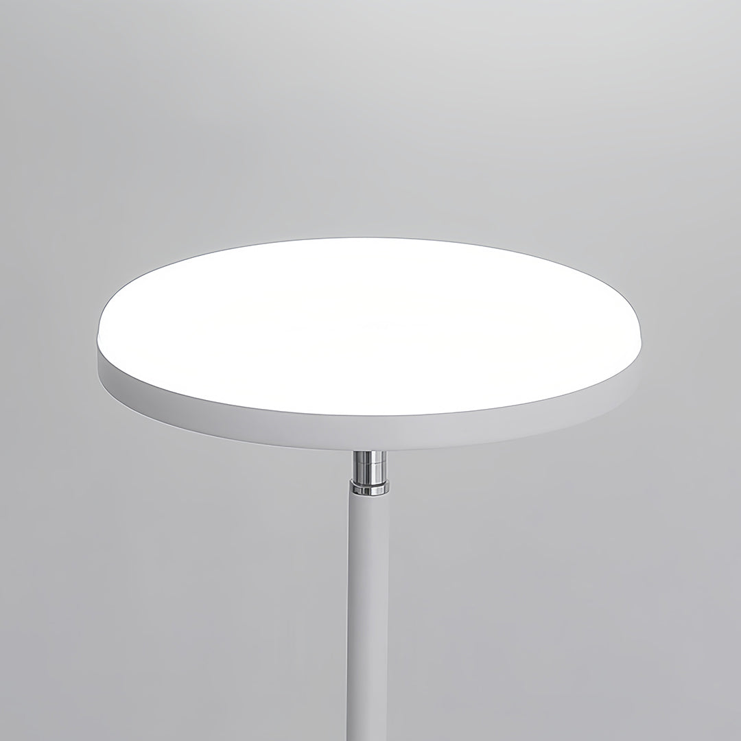 Uplight Floor Lamp Ambient Lighting Reading Downlight Floor Lamp