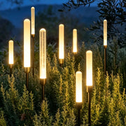 Acrylic bubble landscape lights with glowing cylindrical diffusers illuminating shrubs in an outdoor garden at night.