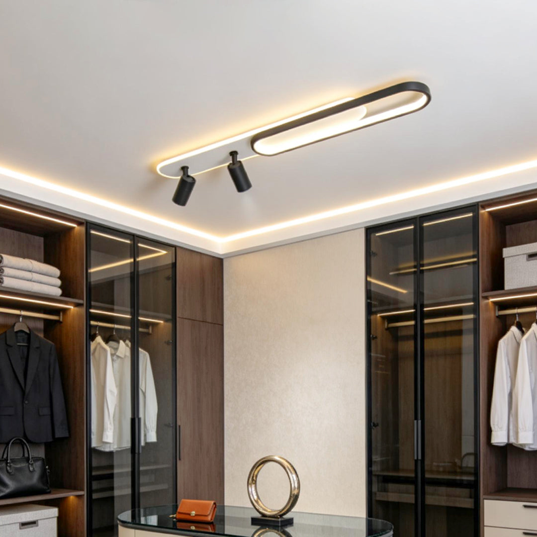 Modern adjustable ceiling spotlights combined with linear LED lighting in walk-in closet.