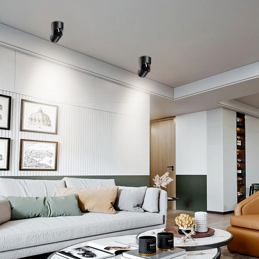 Adjustable downlights with a black finish, installed in a modern hallway.