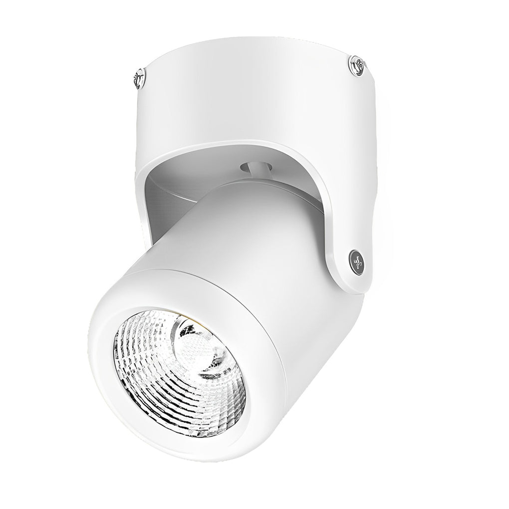 Technical diagram showing dimensions and structure of adjustable downlights models.