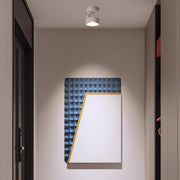 Illuminate your space with adjustable LED ceiling spotlights, offering directional light for precise and customizable lighting in any room.