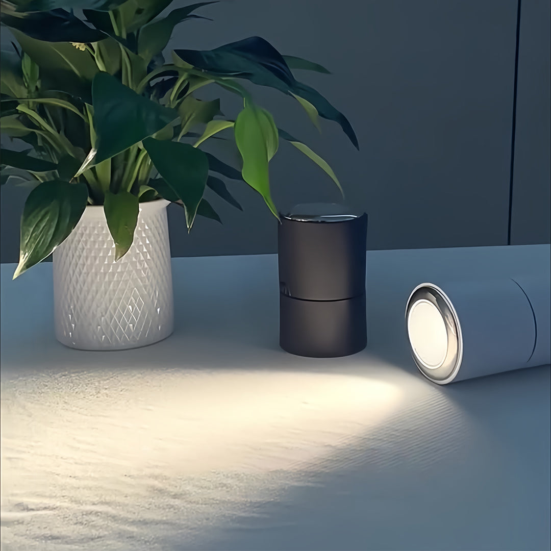 Adjustable spotlight on blue wall near tropical plants and decorative pottery