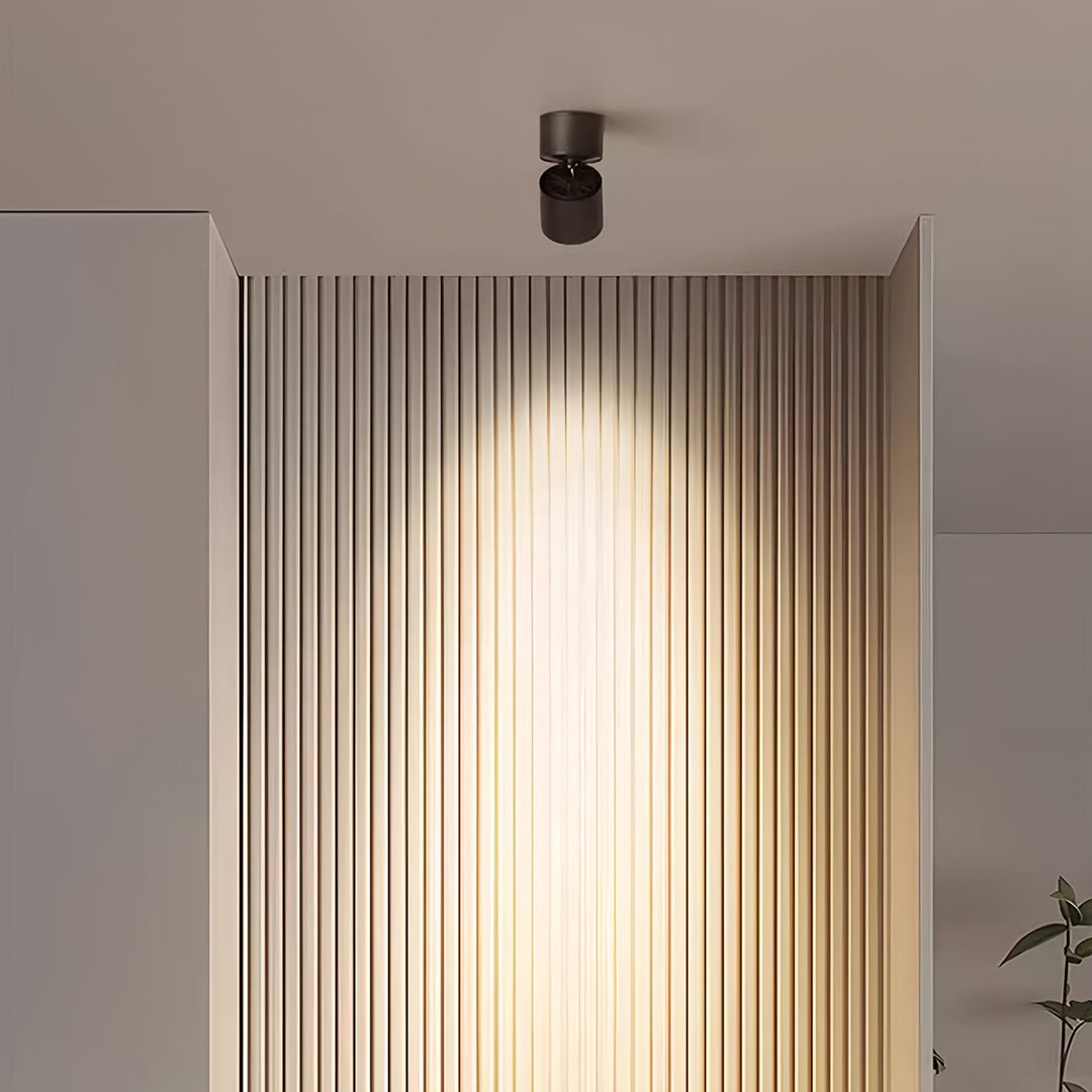 Adjustable spotlight illuminating wood slat feature wall in contemporary interior space